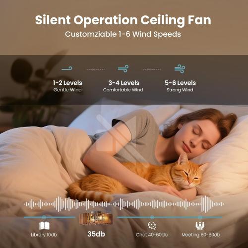 20'' Flush Mount Caged Ceiling Fan with Light, Wooden Low Profile Ceiling Fan with Light and Remote, 6 Speed and Reversible, Farmhouse Bladeless Fan Lights for Bedroom, Kitchen