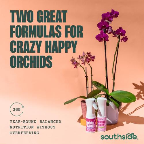 Orchid Grow Fertilizer by Southside - 7.1 oz - Bring Dormant Orchids Back to Life - Gentle Formula, Premium Continuous Spray for Easy Coverage