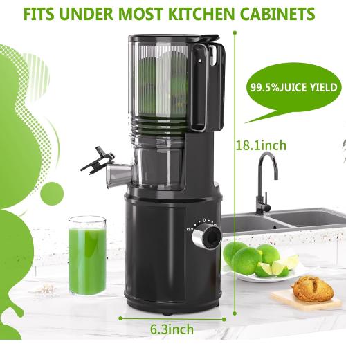Cold Press Juicer – 6.5 Extra Large Feed Chute Fit Hands-Free Electric Masticating Juicer Machine, 350W Slow Masticating Juicer Machine for Whole Fruit and Vegetables – Easy Cleanup & Assembly.