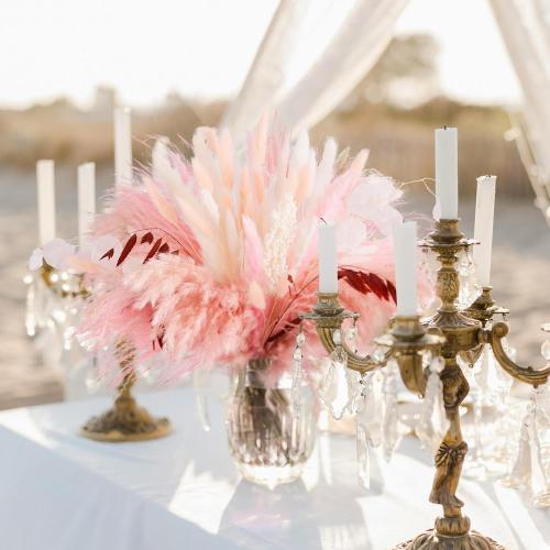 N&T NETING 85Pcs Pink Pampas Grass Decor, Natural Dried Floral Pampas Grass, Boho Home Decor, Fluffy Dried Pompas Grass for Home Wedding Boho Beach Theme Bedroom Decor
