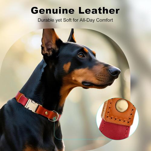 Plutus Pet Genuine Leather & Hemp Dog Collar – Adjustable Heavy Duty Pet Collar with Quick Release Metal Buckle, Soft & Stylish for Puppy and Small, Medium, Large Dogs (Red, L)
