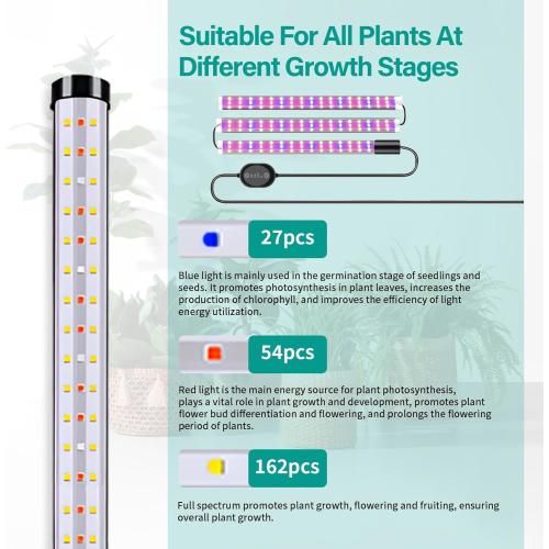 Grow Lights for Indoor Plants, 243 LEDs Plant Growing Lights with 3 Color Changing Red Blue Full Spectrum, 48inch Height Standing Indoor Plant Grow Lamp with 6/9/12H Timer for Indoor Plants