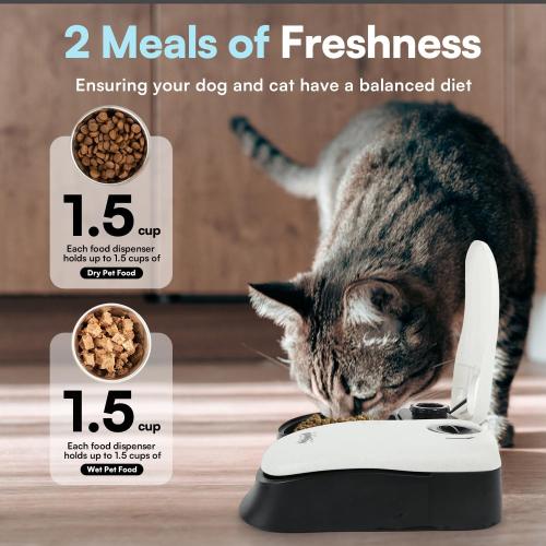 PAWISE Automatic Pet Feeder for Cats and Dogs,Dog Automatic Feeders with Timer, Automatic Cat Feeders with Ice Pack (2 Meal-1)