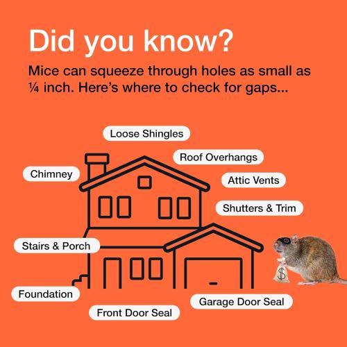 MaPorch Steel Wool for Mice Control - Wool Gap Filler for Home & Garage - DIY Bundle with Gloves & Scissors - Mouse Deterrents That Work - 3 Pack, 3.2 x 7.5 ft