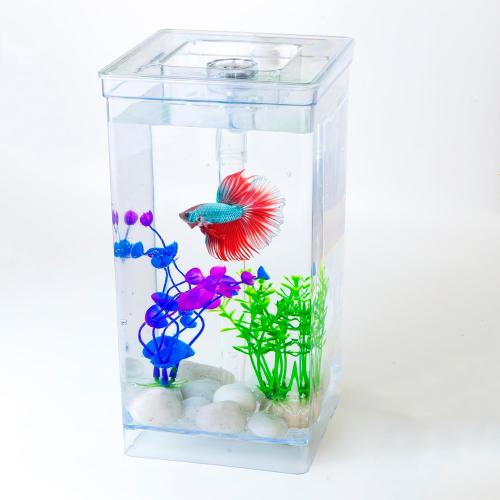Size 1 gallon My First Fish Tank™ 1 Gallon Mini Aquarium Starter Kit, Professional Betta Fish Tank, Self Cleaning-Only add Water, No Power No Noise, with LED Light, Beautiful White Pebbles, with Color Box