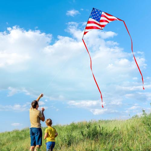 Large Delta Kite for Kids & Adults - Easy to Fly Outdoor Kites for Kids Ages 8-10, Perfect for Beach & Family Activities, Includes Line & Handle
