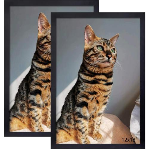 12x18 Inch Picture Frame Poster Frames Set of 2,Made of Soild Wood Wall Mount Vertically or Horizontally 12 x 18 Photo Frame Black