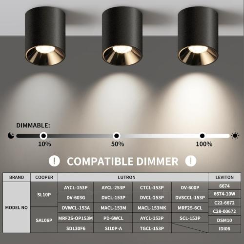 OKELI Modern LED Ceiling Light Fixture Flush Mount COB 20W 4000K Cylinder Ceiling Lights, Dimmable Hallway Lighting Fixtures Ceiling Lamps for Living Room Bedroom Kitchen