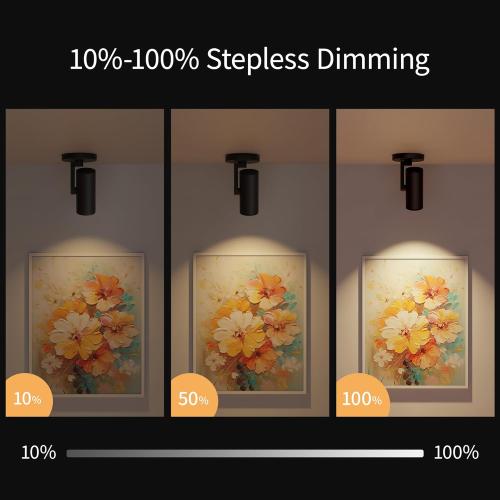 Aisilan Adjustable Dimmable Beam Angle 10-55° Zoomable Spotlight Indoor, 12W White LED CRI 97 Ceiling Spotlight Fixture, 2 Pack 3000K Modern Accent Lighting for Hallway, Living Room, Mural