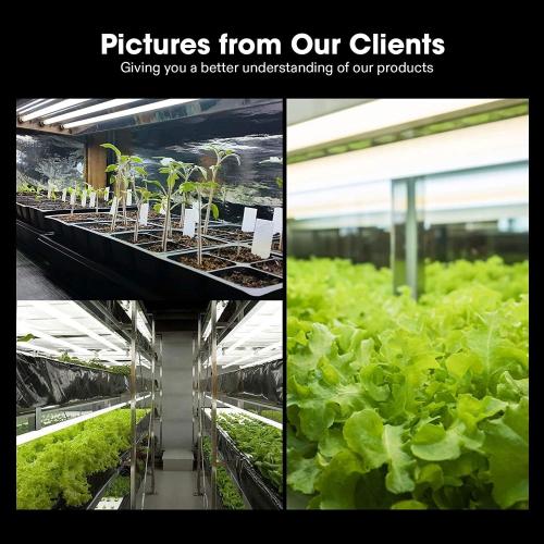 VIVOSUN T5 Grow Light Bulbs 4 Ft 46 Inches, 54W 6500K HO Fluorescent Tubes Light Bulbs, Cool White T5 Bulb for 46 Inches T5 Light Fixtures, T5 Grow Lights for Indoor Plants, 4 Ft 54W Pack of 5