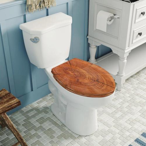Elongated Toilet Seat Thick tree cut rings Resin Toilet Seat with Quietly Close Quick Release Hinges Decorative Toilet Seat with Cover Easy to Clean and Install Rustic Bathroom Decor