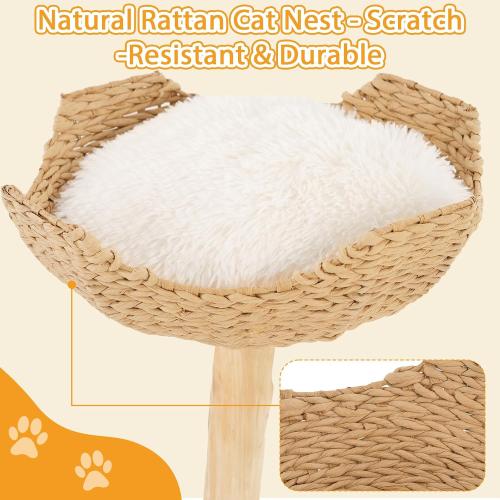 Modern Cat Tree, Natural Pear Wooden Cat Tower for Indoor Cats, Real Branch Luxury Cat Condo with Scratching Post & Hanging Toy Ball（35 Tall）