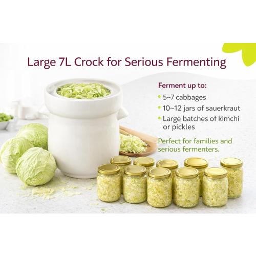 7L Fermentation Crock with Weights — European-Designed A-Grade Porcelain | Water Seal | Sauerkraut, Kimchi, Pickles & More | 1.8 Gallon