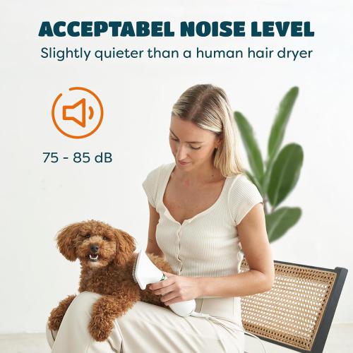 2-in-1 Dog Hair Dryer with Slicker Brush for Small-Sized Dogs