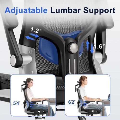 Ergonomic Office Chair，Mesh Seat Cushion with 3D Armrests and 3D Headrest, Adjustable Lumbar Support with Rocking Function, SGS Class 4 Gas Clylinder，Black