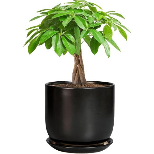 Ceramic Planter 7 Inch - Cylinder Round Modern Indoor Plant Pot for Plants with Drainage Hole and Saucer, Room Home Patio Office Patio Decor, Black