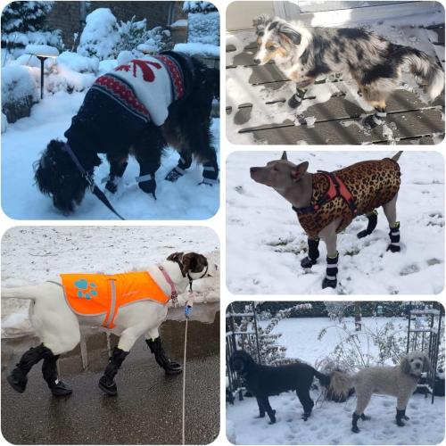 4 PCS Dog Boots Waterproof Dog Shoes with Reflective, Anti-Slip Pet Paw Protectors for Snowy, Rainy and Hot Pavement, Black, Small