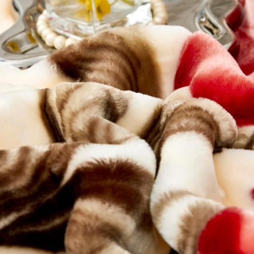 9 lbs Heavy Korean Mink Blanket,Silky Soft and Warm - Korean Style Queen Size 77 x 90, 9LB - 2 Ply Reversible Soft Warm Plush Raschel Blanket.