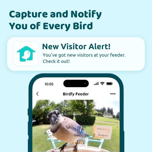 Color Blue NETVUE by Birdfy Smart Bird Feeder with Camera, Bird Watching Camera, Auto Capture Video & Motion Detection, 1080P Live Steam, Cardinal Feeder Outdoor Wireless, Ideal Present for Backyard Birder, Blue