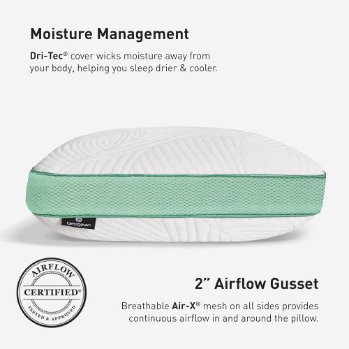Bedgear Level Cuddle Performance Pillow - Firm Bed Pillow for Side Sleepers - Moisture Wicking Removable Cover - Size 3.0