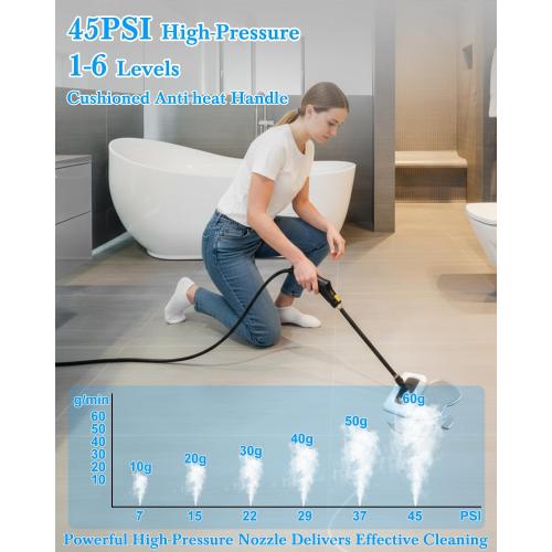 Steam Cleaner for Home - 1600ML Water Tank 15s Heat-Up Portable Steamer for Cleaning, 6 Level Adjustable, 2500W, 45PSI, 250°F Steam, Handheld Steam Cleaner for Car Detailing, Grease, Tile,Grout