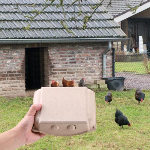 50 PCS Vintage Egg Cartons, Natural Paper Pulp Square Dozen Egg Cartons