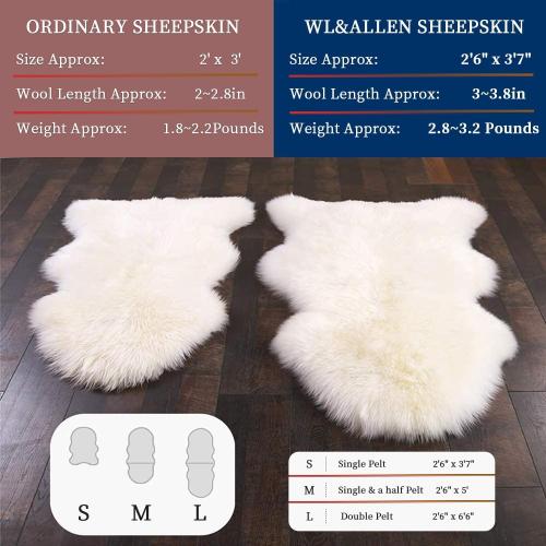 WL&ALLEN Sheepskin Rug - Genuine Thick & Lush Pile, Luxury Australian Pelts | Large Single  Ivory White