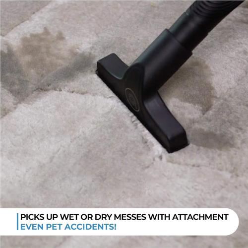 Quantum X Upright Water Vacuum Cleaner - No Filters, Telescopic Body, Pet Vacuum Cleaner and Picks Up Wet Spills, Unique Technolog