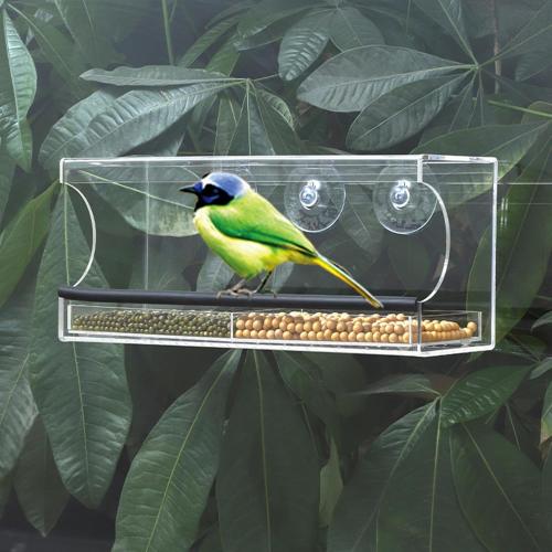 Window Bird Feeders with Strong Suction Cups 12x4x5in Acrylic Clear Bird Feeders for Window Viewing Easy-to-Clean Birdhouse Feeder