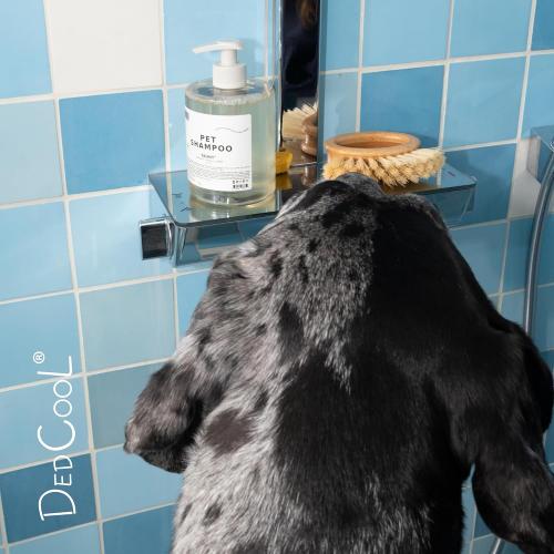 DedCool Pet Shampoo | 01 Taunt | Gentle Cleanser for Dogs | Plant-Based Formula for Soft, Fresh Coats | Sulfate-Free, Dye-Free | Vegan | 16.9 fl oz