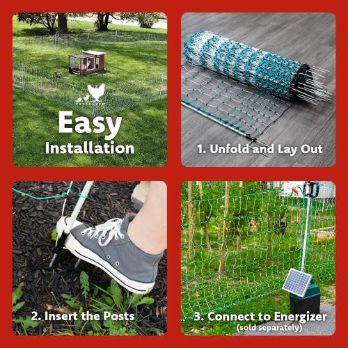 RentACoop Poultry Netting Electric Fence - Electric Poultry Enclosure for Chickens, Ducks, Turkeys - Suitable for 4 Week Old Chickens/Older and Adult Poultry - Energizer Not Included - 168' L x 48 H