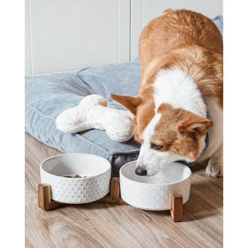 LE TAUCI Dog Bowl Set with Acacia Wood Stand - 1.8-Cup Ceramic Puppy Bowls for Small Dogs, Dual Food and Water Bowls with Weighted Non-Slip Base