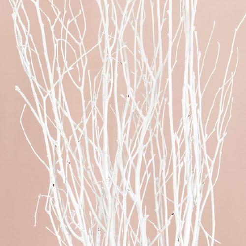 Tableclothsfactory 6 Pack White Decorative Birch Tree Branches, Extra Long Natural Dried Willow Twigs Sticks Vase Fillers - 46 for Party & Decorations