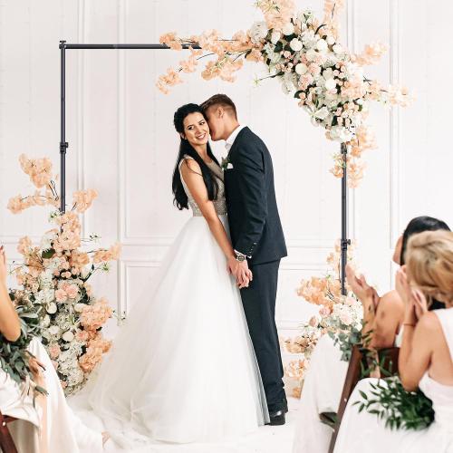 Backdrop Stand 10×8ft (W×H) Adjustable Backdrop Support Ground Kit Photography Photo Shoot Backdrop Stand for Parties with Sandbags, Spring Clips, Carrying Bag