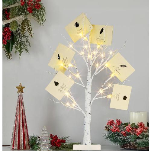 PABIPABI Money Tree Gift Holder, 24 LED Lighted Display Tree with 6 Clear Clips, Battery/USB Powered Timer Birch Tree for Christmas, Memo, Present Card, Photo, Wedding, Birthday Graduation