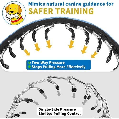 Mayerzon No Pull Dog Collar, Patented Martingale Collar for Small Medium Large Dogs with Buckle and Heavy Duty Nylon for Walking Training Hunting, Safe and Easy to Use(XL, Blue)