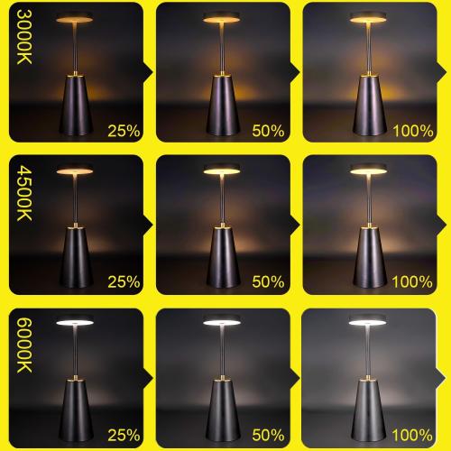 Cordless Table Lamps, Touch Control Battery Operated Desk Lamp for Living Room Set of 2, Bedside Lamps for Nightstand, Rechargeable LED Desk Lights for Bedroom/Restaurant/Cafe/Bars/Outdoor/Gift(Black)