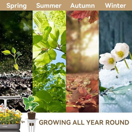 LYKO Lettuce Spinach Broccoli Seed Starter Kit for Hydroponics Growing System, Vegetable Pod Kits for Planting Indoor Garden 500  Seeds (Lettuce, Arugula, Green Chard, Broccoli, Spinach) - 3 Pods