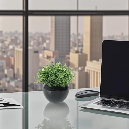 Velener Fake Sage Plants for Shelf Decor, Small Artificial Succulents Grass Desk Plant for Office Women, Mini Faux Plant Indoor, Masculine Home Decor, Coffee Table Decor, Bathroom Decor (2 Pack)