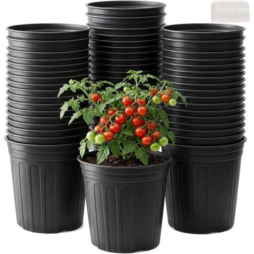 50 Pack 2 Gallon Flexible Plant Nursery Pots for Plants with Drainage Holes | Flexible, lightweight plastic construction; compact growing space for seedlings, herbs, succulents, and young flowers