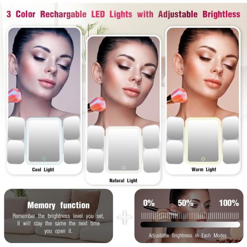 Mid-Size Makeup Bag with LED 1X5X10X20X30X Magnifying Mirror and Travel Makeup Train Case Cosmetic Organiser with Mirror and Separate Makeup Brush Panel, Portable Adjustable Divider, Black