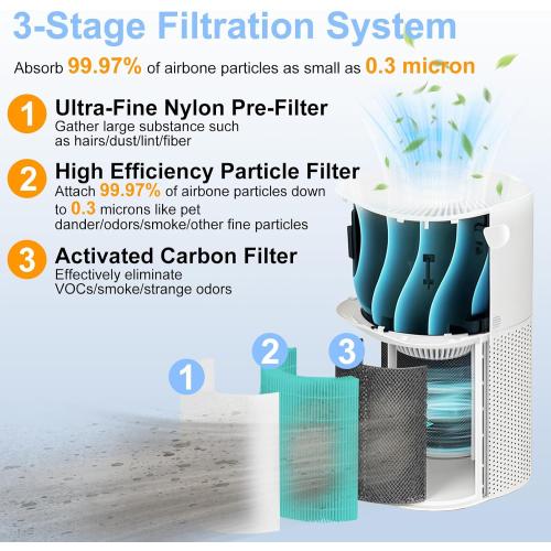 Core 600S Toxin Absorber Replacement Filtër for LEVOIT Core 600S/600S-P | 3 in 1 Powerful Particle & Activated Carbon Core 600S-P Filter for Wildfire Smoke Household Odors, Core 600S-RF-TX, 2P, Green