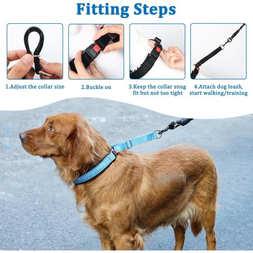 Mayerzon No Pull Dog Collar, Patented Martingale Collar for Small Medium Large Dogs with Buckle and Heavy Duty Nylon for Walking Training Hunting, Safe and Easy to Use(XL, Blue)