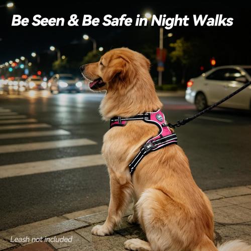 PoyPet No Pull Dog Harness Small with Front Clip & Neck Release Buckle