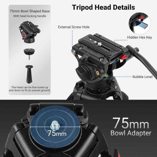 NEEWER 74 Video Tripod with Fluid Head, QR Plate , Aluminum Heavy Duty Camera Tripod Professional for DSLR Cameras Camcorders, Max Load 17.6lb/8kg, TP74