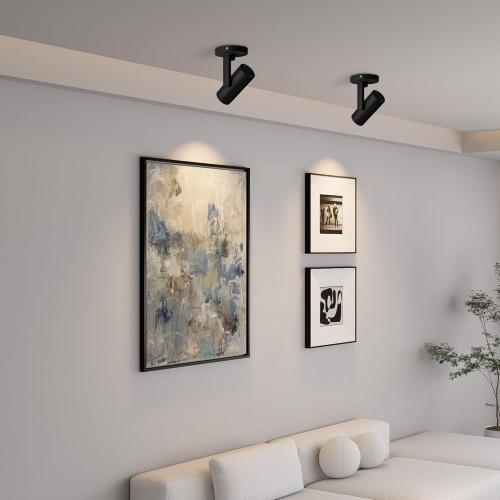 Aisilan Adjustable Dimmable Beam Angle 10-55° Zoomable Spotlight Indoor, 12W White LED CRI 97 Ceiling Spotlight Fixture, 2 Pack 3000K Modern Accent Lighting for Hallway, Living Room, Mural