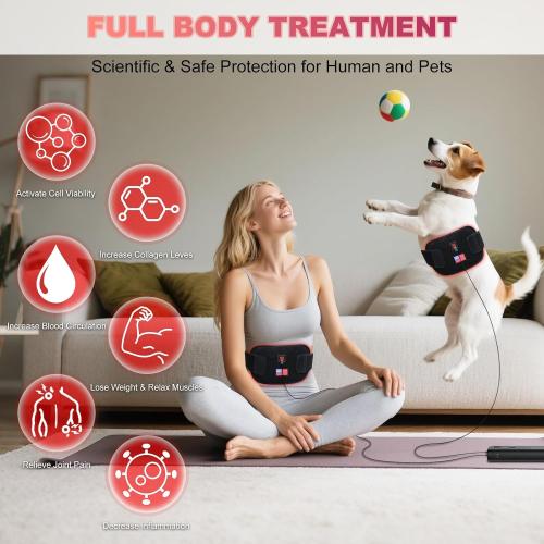 Red-Light-Therapy-for-Body,2026 Upgraded 4 Modes Near Infrared Light for Body Pain Relief,High-Efficiency Spherical Lamp Dual-Wave(660nm&850nm)LEDs,Corded-electric for Effective Therapy(12.4 x 6.1)