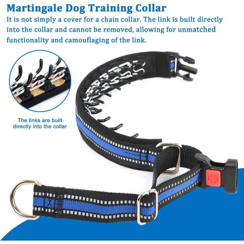 Mayerzon Martingale Collar for Dogs, No Pull Dog Collar with Reflective Strip for Small Medium Large Dogs, Anti Pulling Dog Collar with Buckle for Walking Training, Safe for Night Walk(Blue, L)