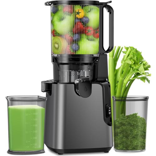 Juicer Machines Large Feed Chute, 400W Cold Press Juicer for Whole Vegetables and Fruits, Slow Masticating juicer Easy to Clean Juice Extractor Machine High Juice Yield(Titanium Gray)