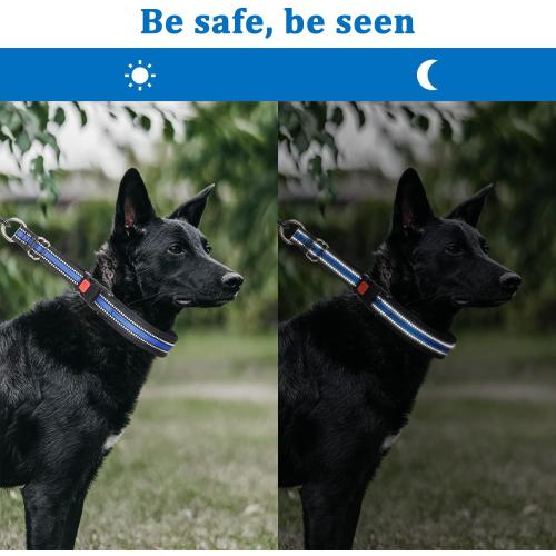 Mayerzon Martingale Collar for Dogs, No Pull Dog Collar with Reflective Strip for Small Medium Large Dogs, Anti Pulling Dog Collar with Buckle for Walking Training, Safe for Night Walk(Blue, L)